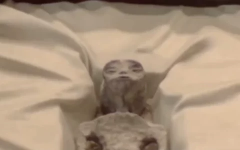 墨西哥国国会展示两具1000多年前外星尸体