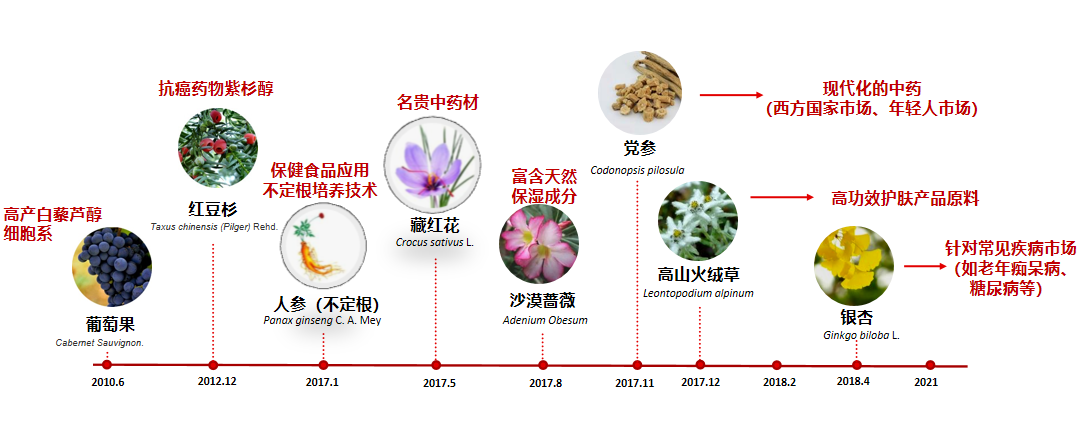 對話張衛(wèi)院士：生物經(jīng)濟(jì)是全球潮流，安賽搏專注植物細(xì)胞農(nóng)業(yè)產(chǎn)業(yè)化布局