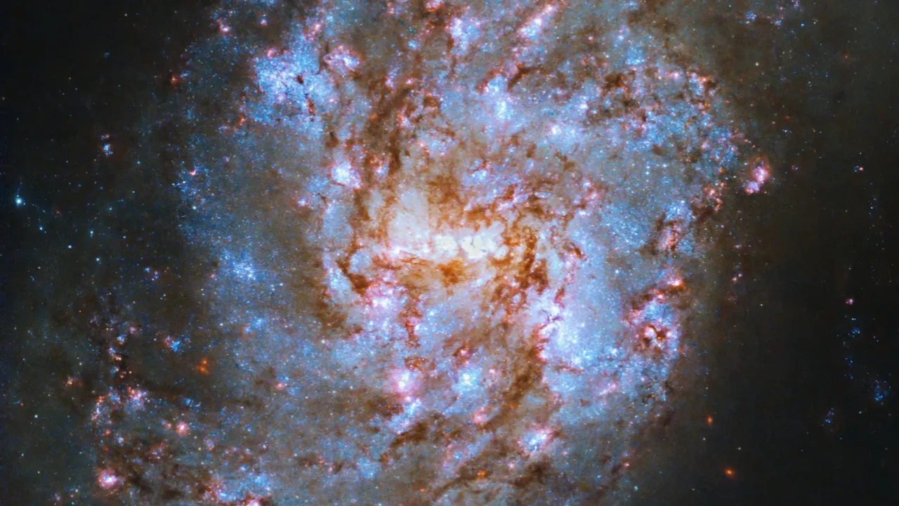 NASA哈勃望远镜照片中星光璀璨的NGC 1087螺旋蛇状星系