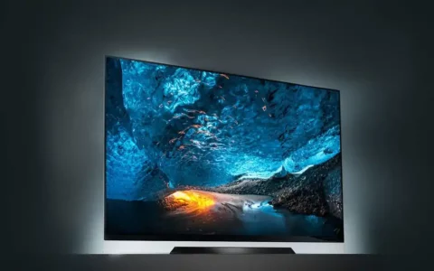 美国亚马逊黑色星期五：LG 65英寸LED 4K智能电视优惠200美元，售价399.99美元