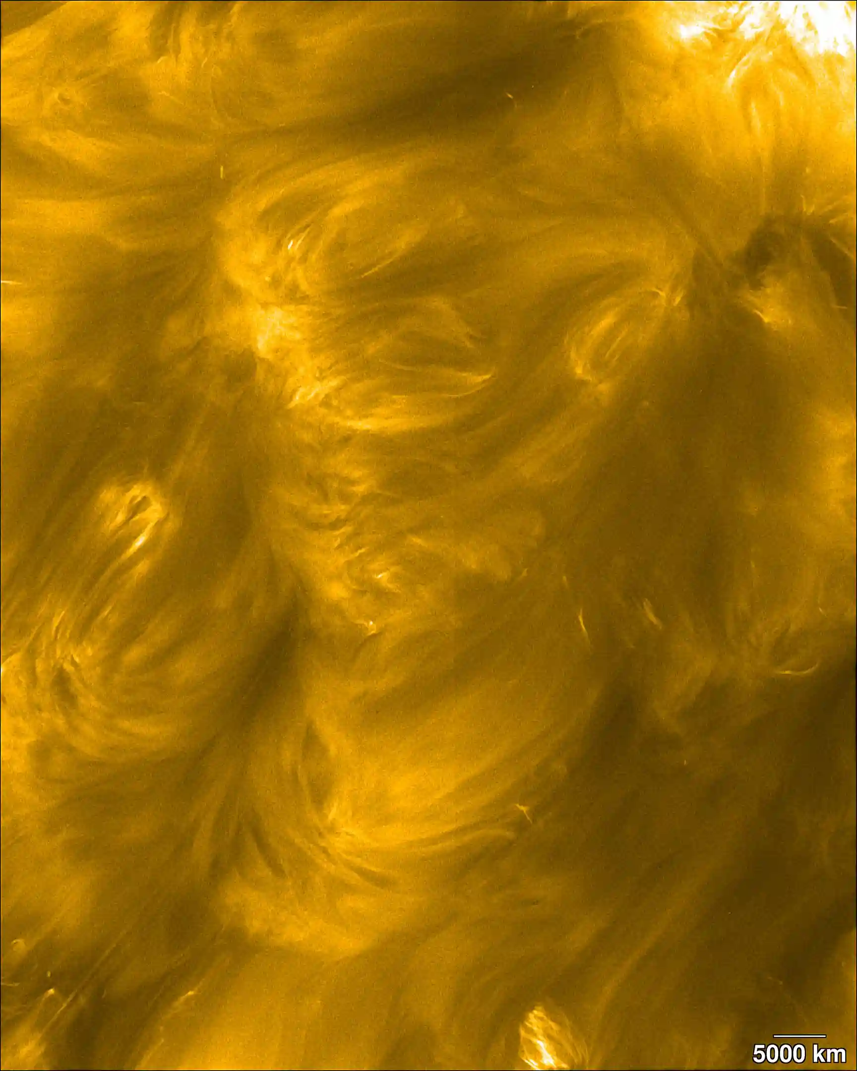 太阳轨道器揭示太阳表面瞬态磁场对日冕形成的作用