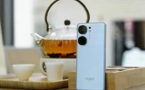 iQOO neo9与iQOO neo9 Pro区别对比：充电速度大比拼