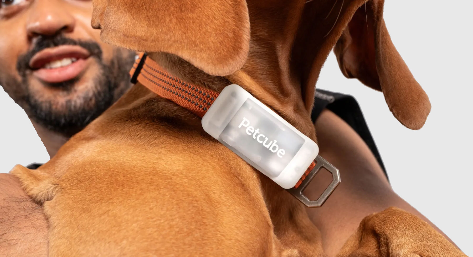 Petcube推出新型宠物GPS追踪器：实时定位、健康监测，价格亲民