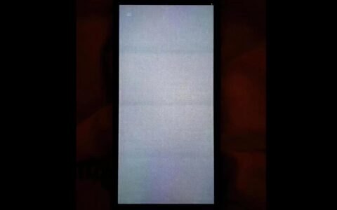 三星Samsung Galaxy S24屏幕问题频发：用户抱怨“颗粒感”和“横向条纹”