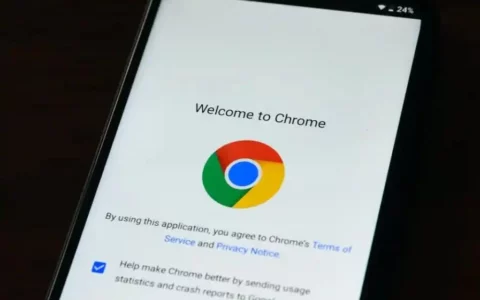 谷歌Google Chrome新功能：新增网络入侵检测功能，提升用户安全性