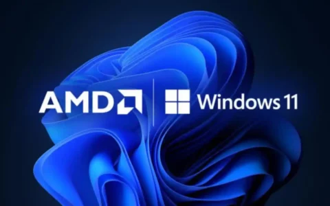 AMD与微软合作：Windows任务管理器将支持监控Ryzen NPU使用情况