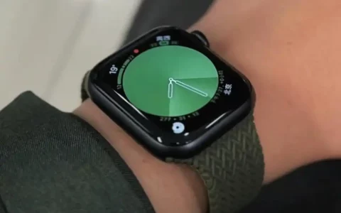 蘋果Apple Watch表盤推薦 個性化表盤輕松get
