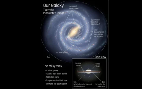 傳聞宇宙早期星系呈扁長形狀 類似法棍面包