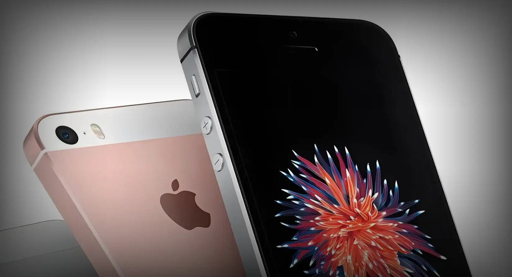 苹果Apple iPhone SE 4重磅来袭：全面屏+A16芯，中端机皇性能大揭秘！