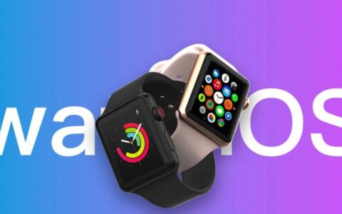 苹果推出watchOS 10.5开发者预览版Beta更新，新功能引期待