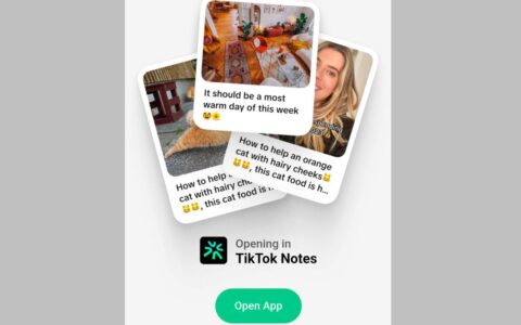 TikTok的Instagram竞品很可能被命名为TikTok Notes