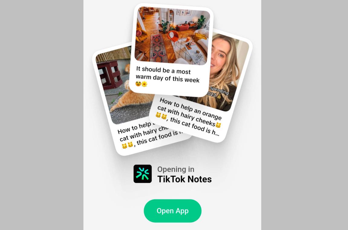 TikTok的Instagram竞品很可能被命名为TikTok Notes