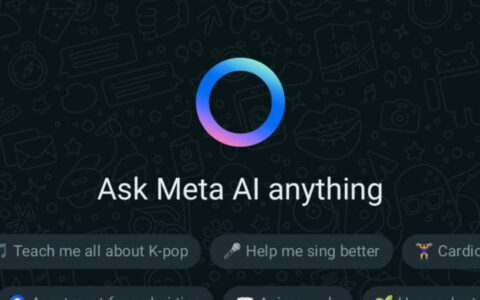 Meta在印度和非洲测试AI聊天机器人，加速人工智能产品规模化
