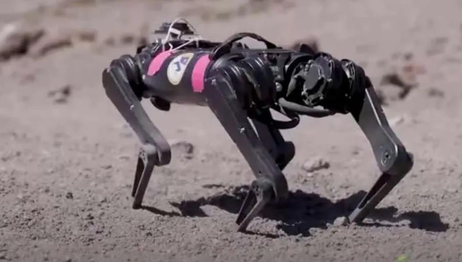 NASA秘密训练机器狗，瞄准月球探索新篇章