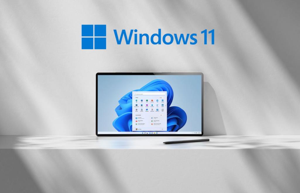 微软Win11预览版更新：设置应用新增直观备份日期显示