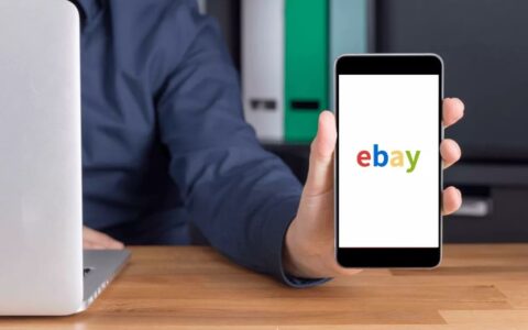 eBay发布2024财年第一季度财报：营收稳步增长，净利润短期承压
