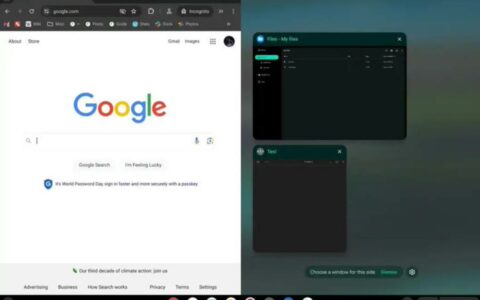 谷歌Google ChromeOS M124更新发布：优化分屏操作，引入网络流量优先级管理