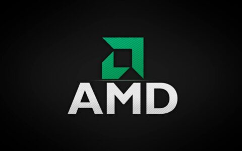 AMD Strix系列APU处理器曝光：包含10核Ryzen AI 165及强大核显与AI性能
