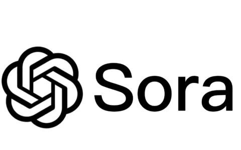 OpenAI Sora 如何使用：最新详细教程-新手小白必看
