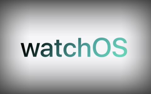 苹果发布watchOS 11开发者预览版Beta更新，Apple Watch迎来全新操作系统
