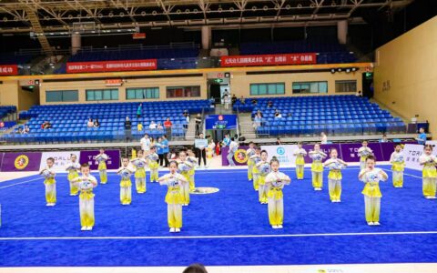 深圳市第二十一届“TOALL·莲偶科技杯”幼儿武术交流比赛在罗湖隆重举行