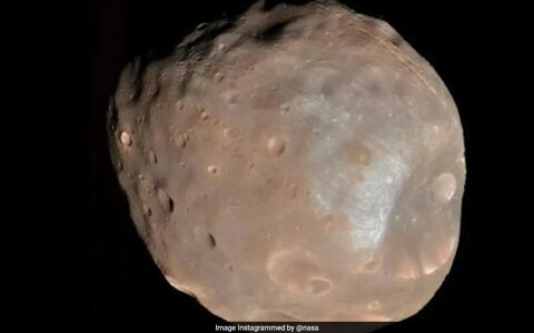 NASA發布火星衛星“火衛一”照片，網友戲稱“太空馬鈴薯”