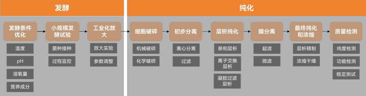 重組膠原蛋白行業(yè)白皮書解讀未來趨勢，巨子生物領導者地位再鞏固