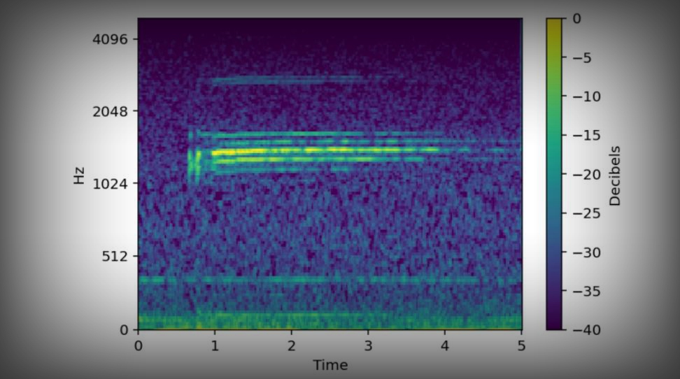 谷歌發布先進鯨魚聲音識別AI模型，助力海洋科學研究