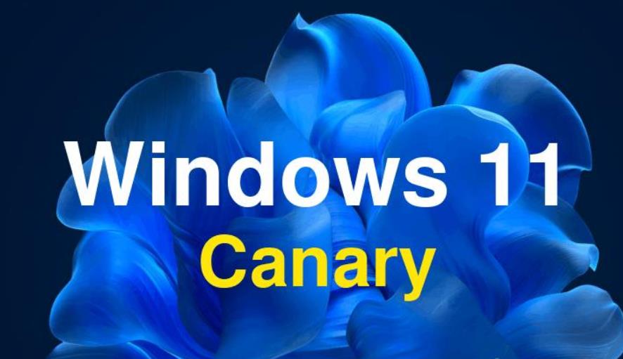 微軟推送Windows 11 Insider Preview Build 27729：Copilot鍵可自定義，多項(xiàng)Bug得到修復(fù)