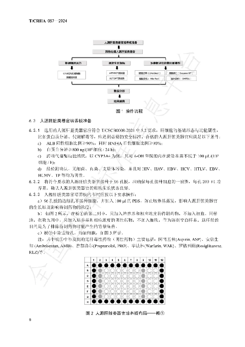 華夏源類器官：國內首個《基于人源肝臟類器官的藥物肝臟毒性評價技術》團體標準正式發布