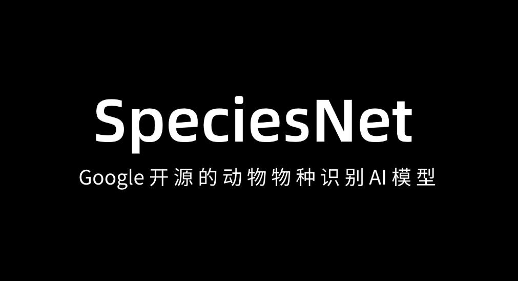 谷歌開(kāi)源SpeciesNet AI模型：6500萬(wàn)張圖訓(xùn)練，2000種物種一鍵辨