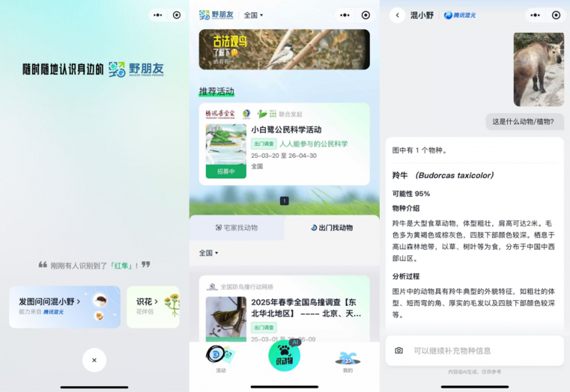你的手機鏡頭可變身“自然翻譯器” 騰訊“野朋友計劃”聯(lián)合騰訊混元上線物種識別AI