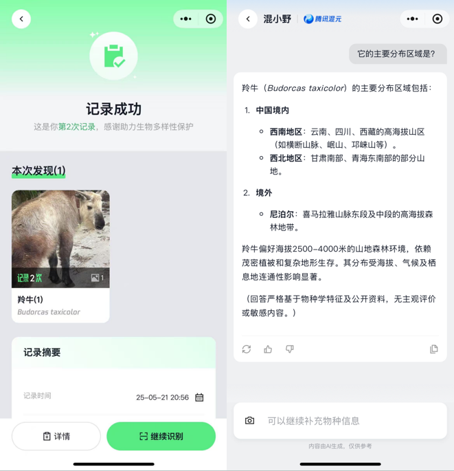 你的手機鏡頭可變身“自然翻譯器” 騰訊“野朋友計劃”聯(lián)合騰訊混元上線物種識別AI