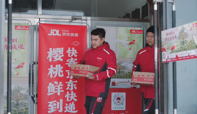 京東物流大連櫻桃全貨機(jī)啟航 “北緯39度甜”最快次晨送上門