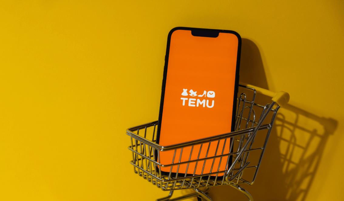 TEMU土耳其戰(zhàn)略升級(jí)：本地倉配中心落地伊斯坦布爾