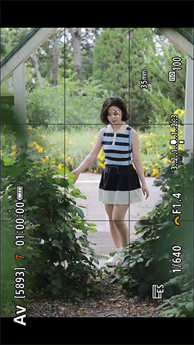眼部追焦.gif