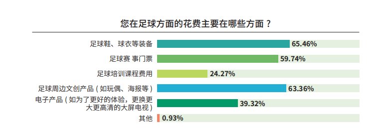 《中國足球環(huán)境及未來發(fā)展白皮書（2025）》發(fā)布：100吋大屏電視成球迷客廳新標配